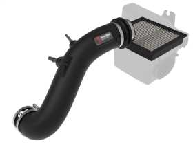 Super Stock Pro DRY S Air Intake System 55-10011D